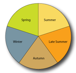 Lawn Treatment in Spring, Summer, Late Summer, Autumn and Winter